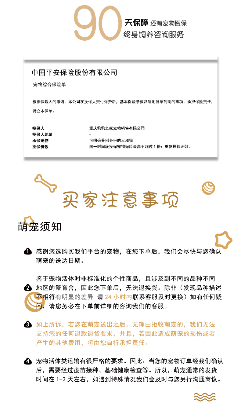 c_07.jpg